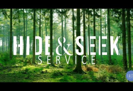 Hide & Seek: Service