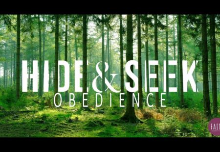 Hide & Seek: Obedience