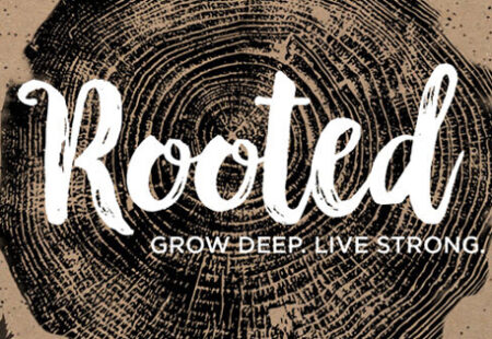Rooted: Harvest – Week 4