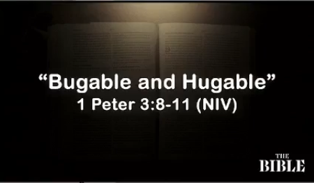 Bugable and Hugable